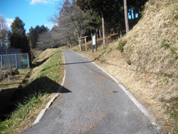 �ԓ���i��