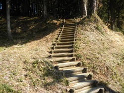 �ē��E������n�܂�K�i