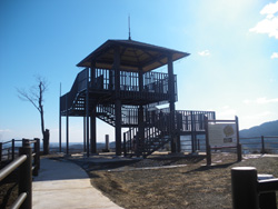 8�����11��23���ɓ����B