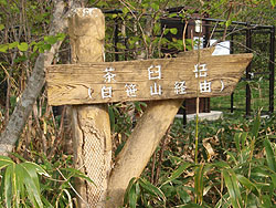 �o�R�������