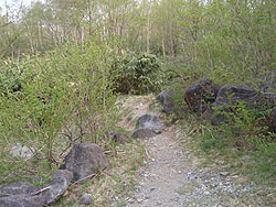 登山道入り口