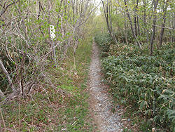 �X�^�[�g���Ē����̓o�R��