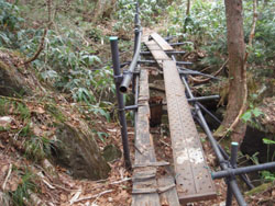 ���݃p�C�v�̋�