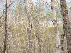 ���������r