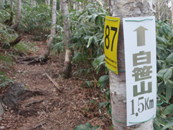 �����R1.5km�̕W��