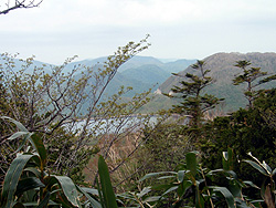 ���������r