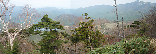 山頂からの眺め