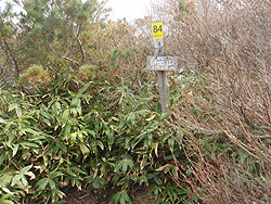 �����R �R��(1719m)