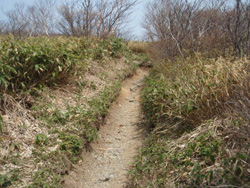 �o�R���͂������肵�Ă���`�H