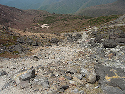 �o�R���͐΂��炯�`