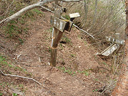 �O�l�����ւ̕���_