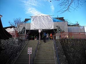 �Ō�́A���Ƀn�V�S