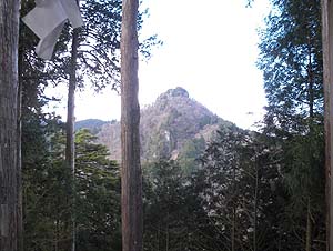 �_�З����猩���A���̉@