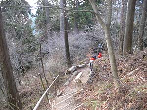 �o�R���炵����