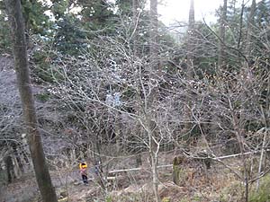 �~������