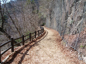 �`�b�v���~���l�߂�ꓹ