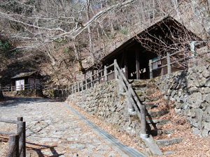 ���x�e����