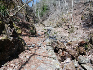 ���x�e��������̓�