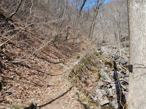 ���x�e��������̓�