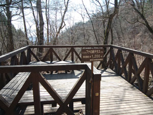 �u�i�̖؃e���X