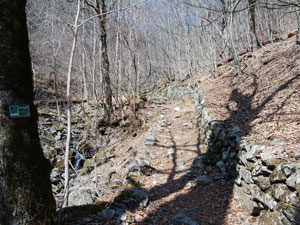 ����_����̓o�R���B