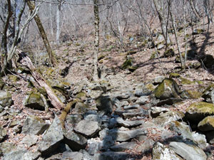 ����_����̓o�R���B