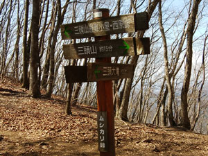 ����_����̓o�R���B