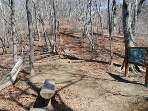 ����_����̓o�R���B