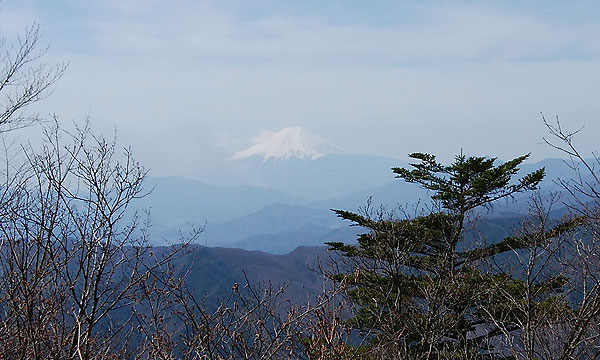 �O���R�R��(����) ����̒���