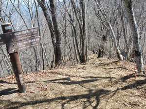 �O���R�R��(����) ����̓o�R���B