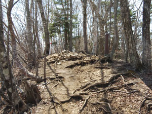 �O���R�R��(������1,531m)