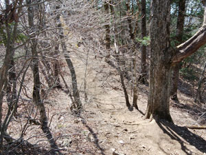 �X�ɐ�ɐi�ނƁE�E�E