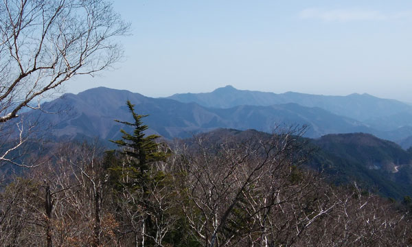 �W�]�䂩��̒���