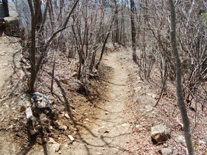 �W�]�䂩��̓o�R���B