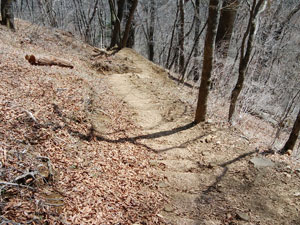 �W�]�䂩��̓o�R���B