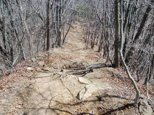 �W�]�䂩��̓o�R���B