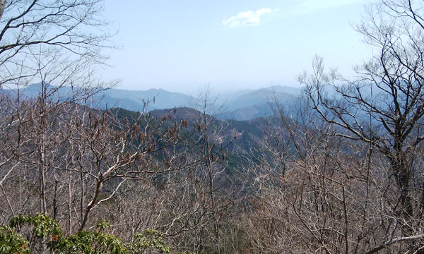 ��������������̒���