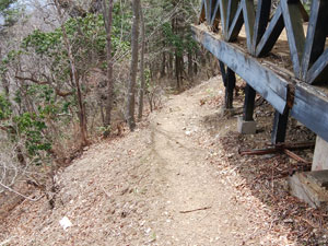 ��������������̓o�R���B