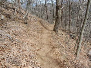 �y���ɉ���`�`