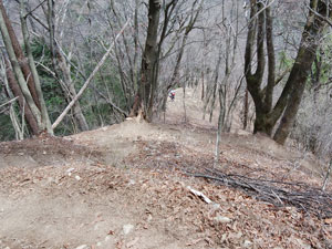 �y���ɉ���`�`