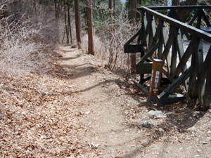 ���������̓o�R���B