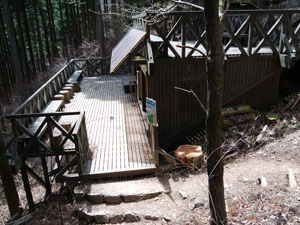 �x�e����