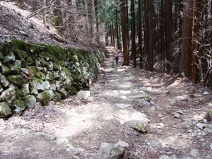 �x�e��������̓o�R���B