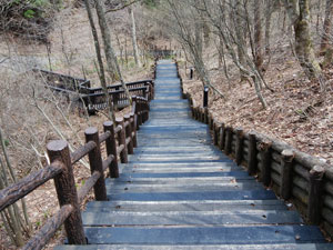 �X�ъق���̖ؒi