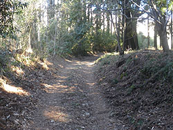 �_�Ђ���̓�