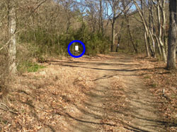 ��R�[�X�̕W��