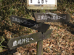 ��R�[�X�̕W��