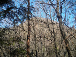 �O���R�������Ă���