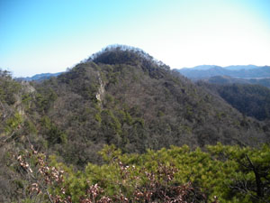 �U��Ԃ�ƎO���R