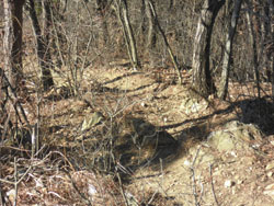 �����`���ɉ���